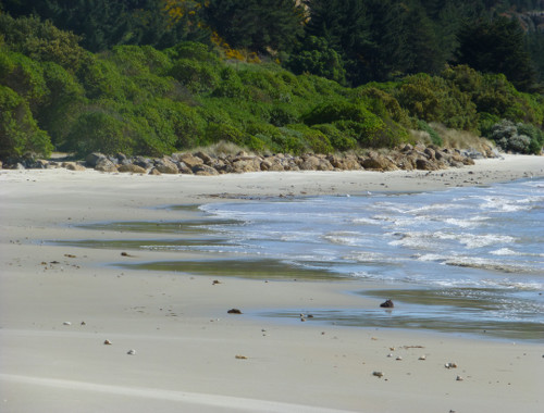 Strand bei Shagpoint 2, Neuseeland, Südinsel