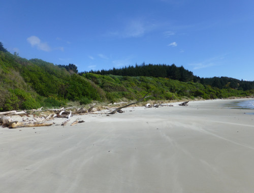 Strand bei Shagpoint 5, Neuseeland, Südinsel