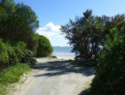 Parkbuchten am Strand bei Shagpoint, Neuseeland, Südinsel