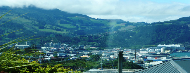 Blick über South Dunedin