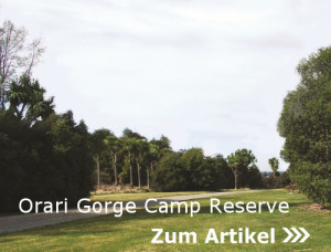Orari Gorge Camp Reserve