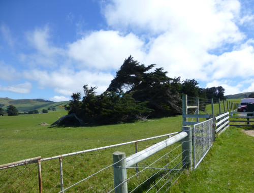 Otago Peninsula an der Sandflybay 3