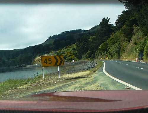 Otago Peninsula, Straße zum Albatross Center 3