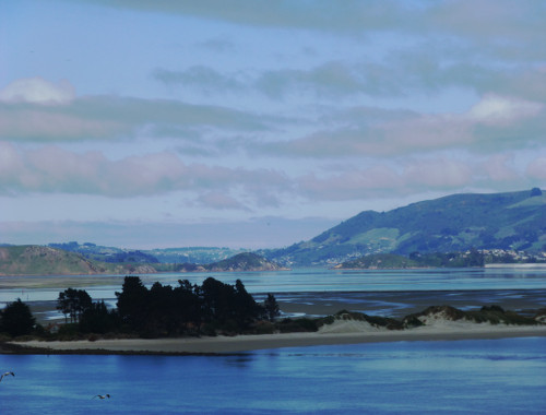 Otago Peninsula. Blick nach Dunedin