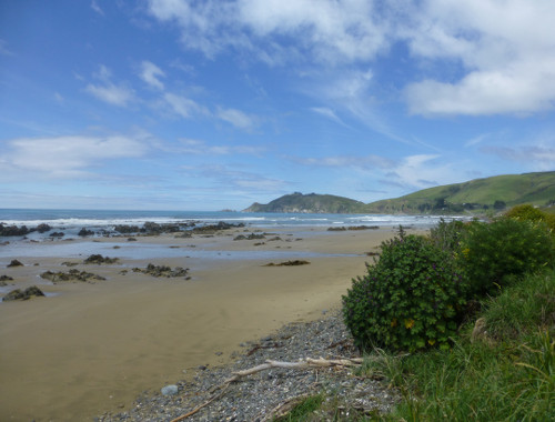 Kaka Point-Ostküste Neuseeland 3
