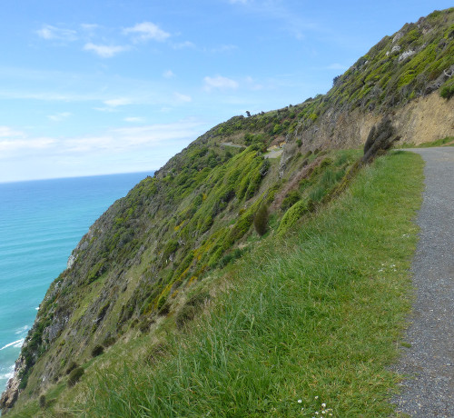 Nugget Point-Südinsel-Ostküste Neuseeland 