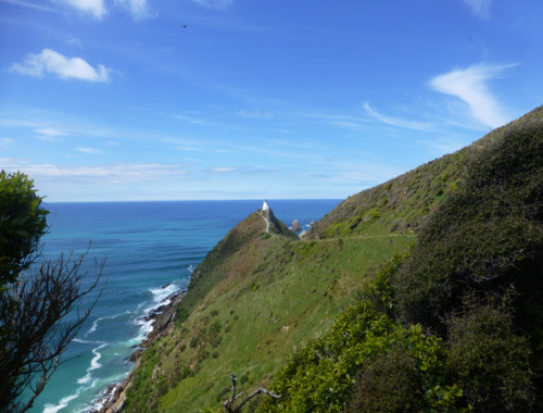 Nugget Point-Südinsel-Ostküste Neuseeland 3