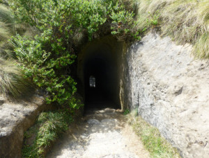 Der Tunnel am Tunnel Beach 2
