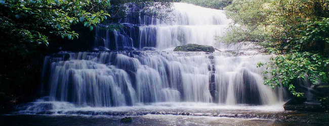 Die Purakaunui Wasserfälle