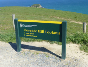 Florence Hill Lookout