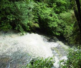 bei den Purakaunui-Falls