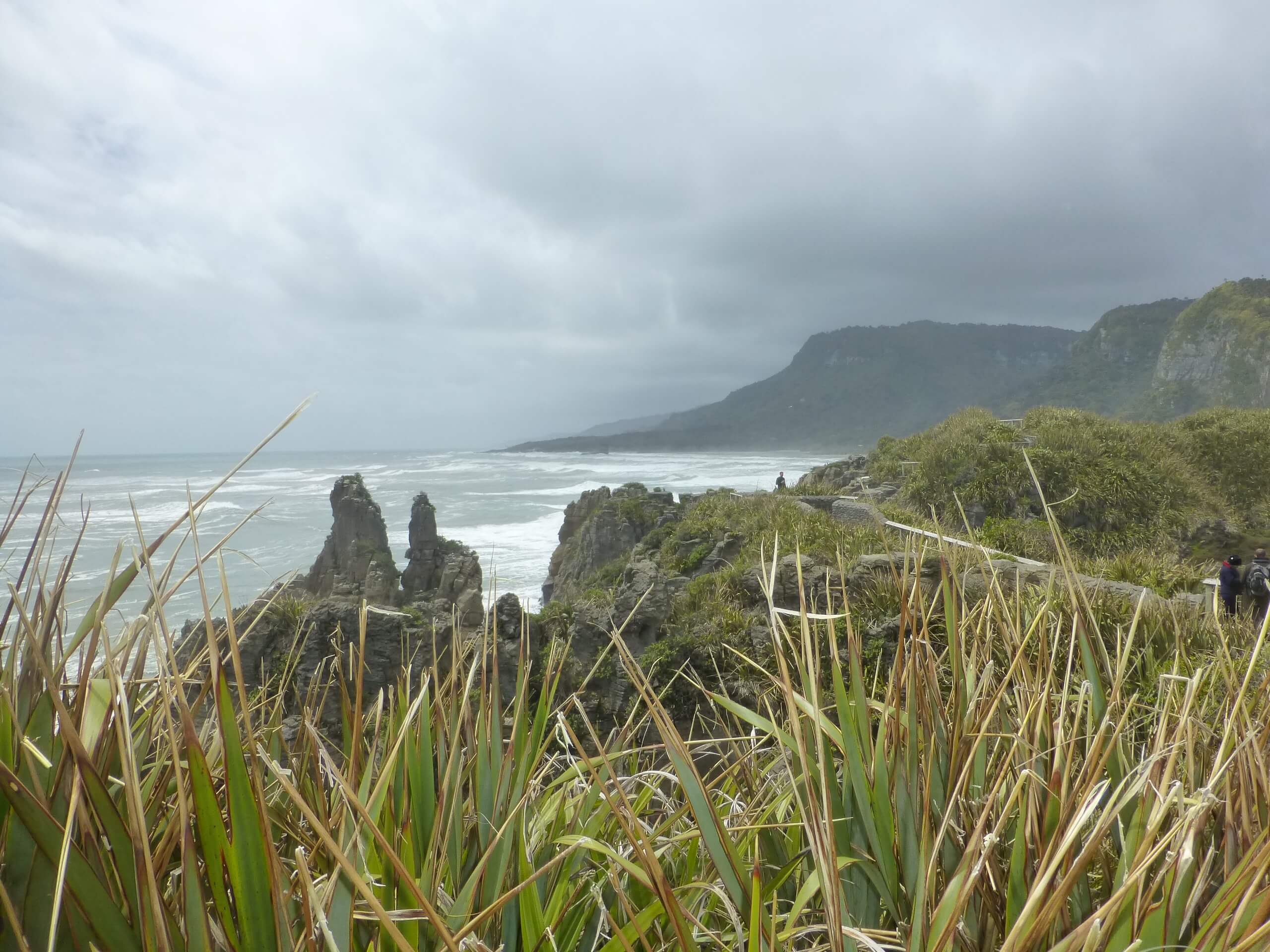 Pancake Rocks, Walk Way, Westküste Neuseeland 16