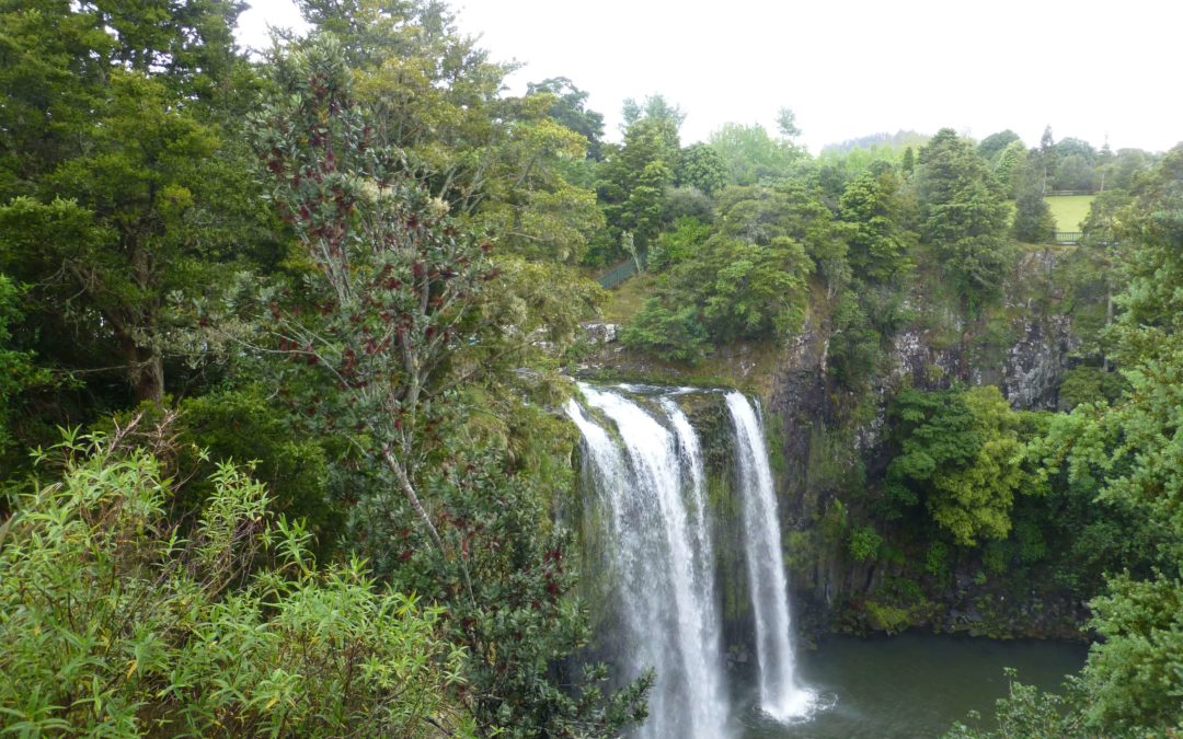 Die Whangarei Falls, Neuseeland, Weit weg Reisen