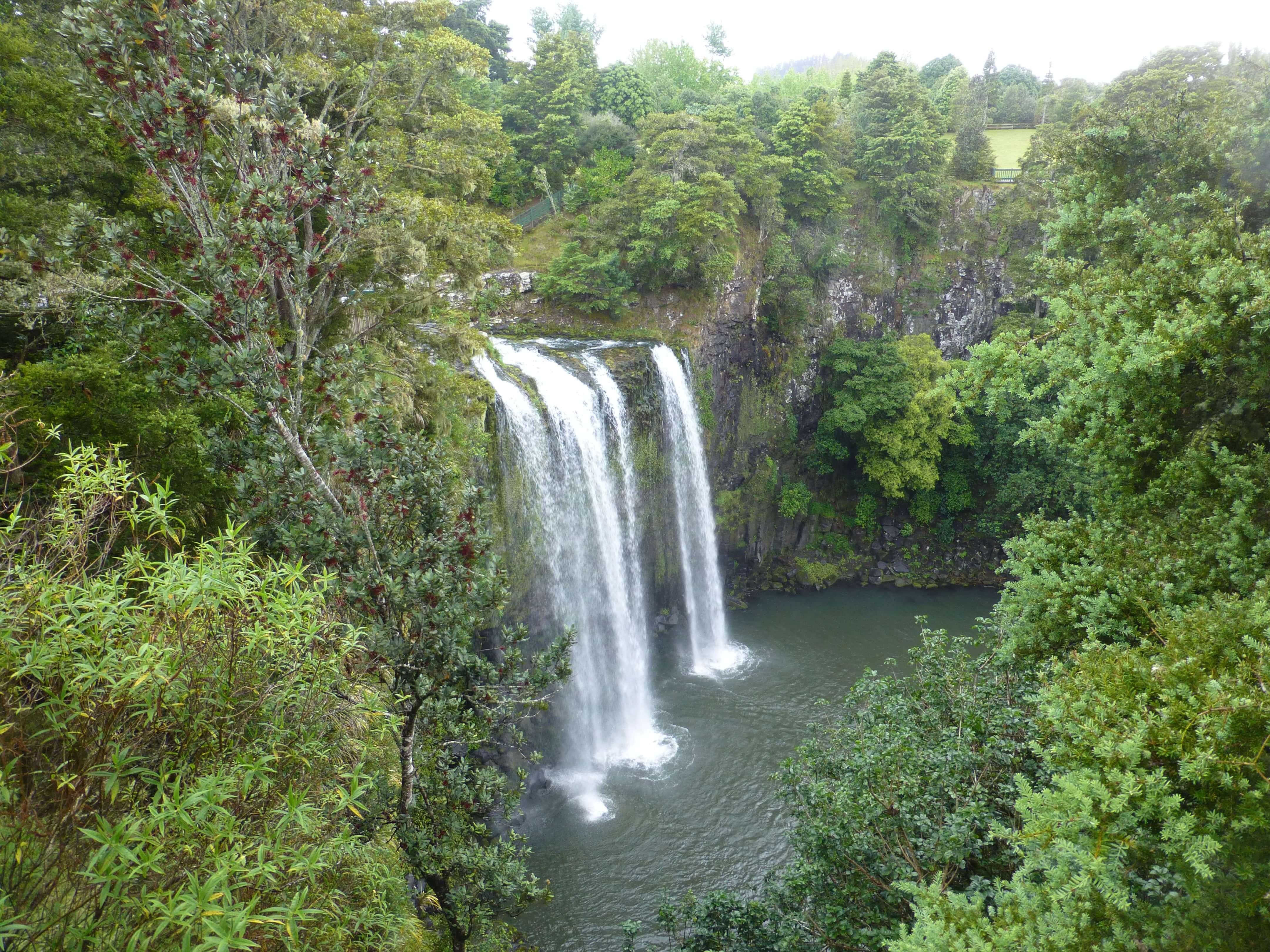 bei den Whangarei Falls, Neuseeland, Weit weg Reisen 8