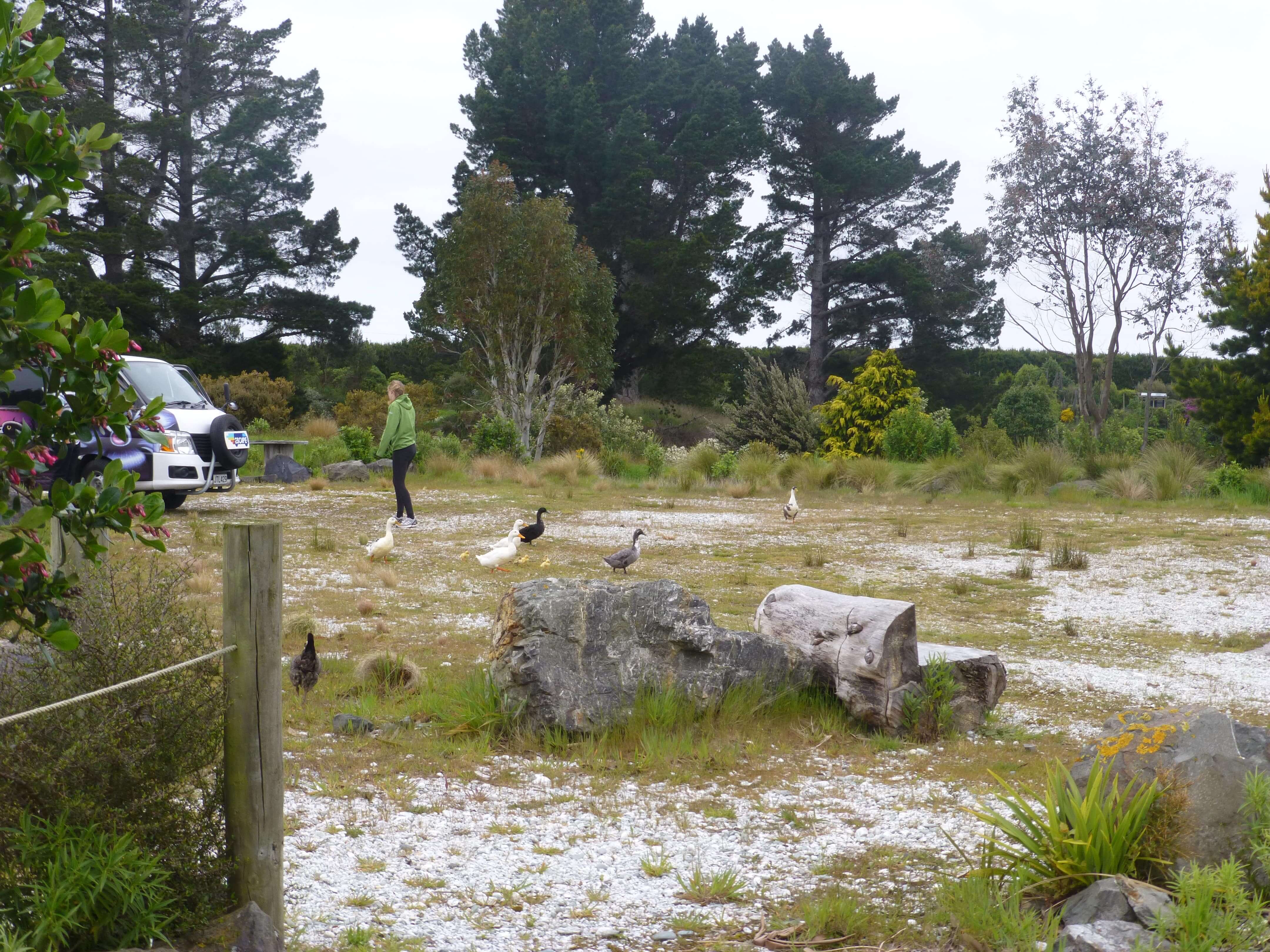 Lignite Pit Secret Garden, weit weg reisen, NZ 11