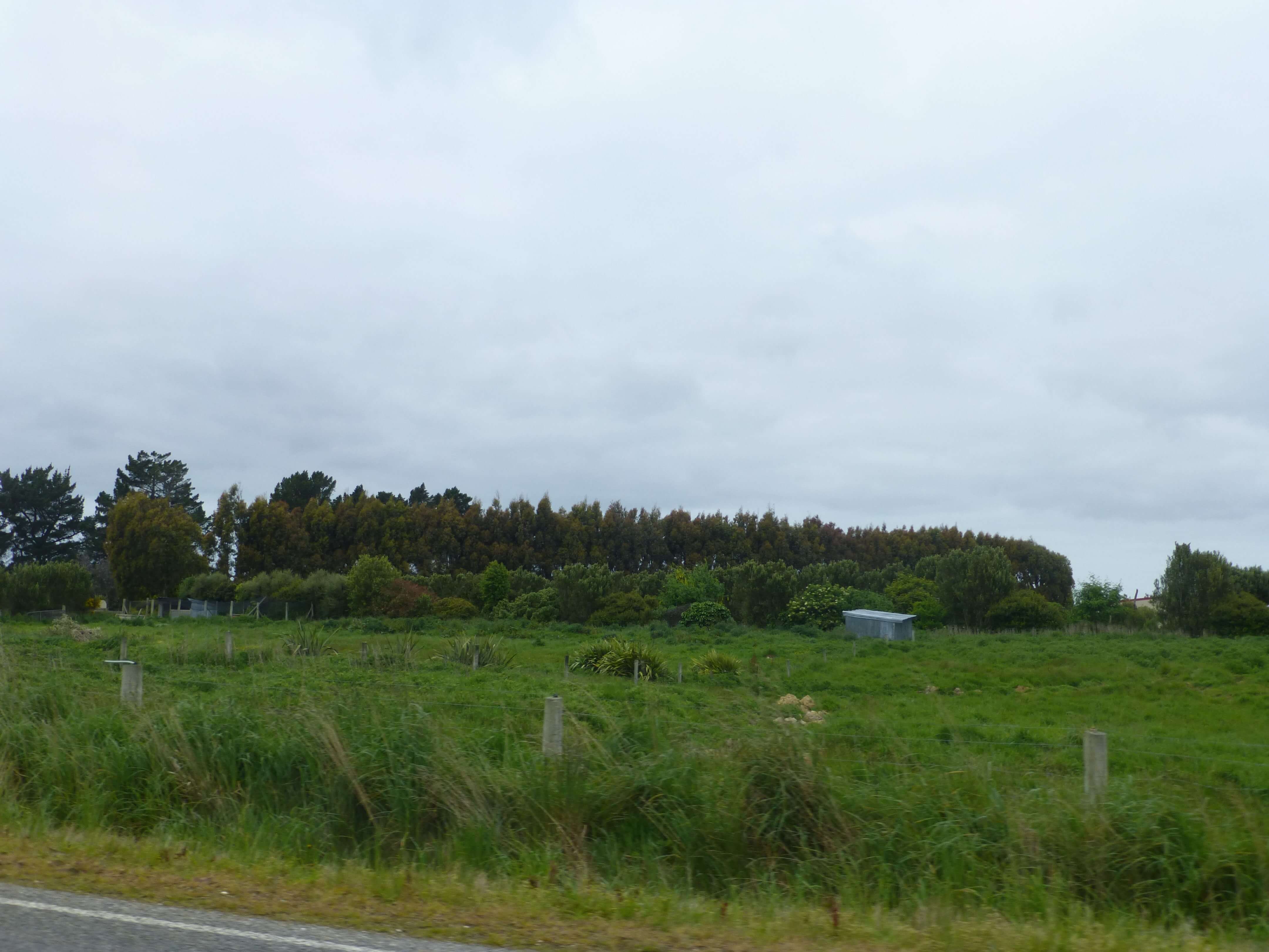 Lignite Pit Secret Garden, weit weg reisen, NZ 5