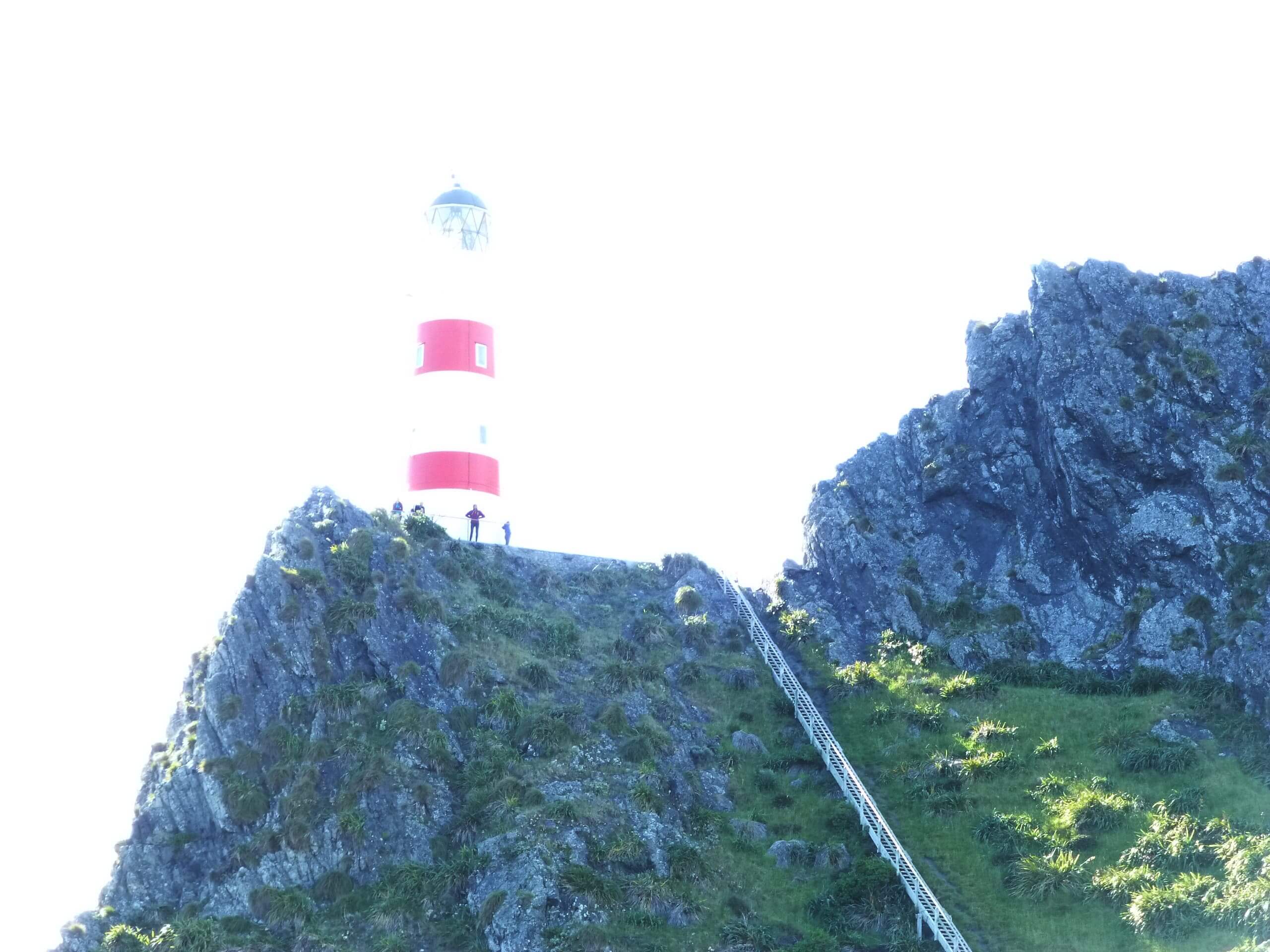 Weit-weg.reisen, Lighthouse Cape Palliser