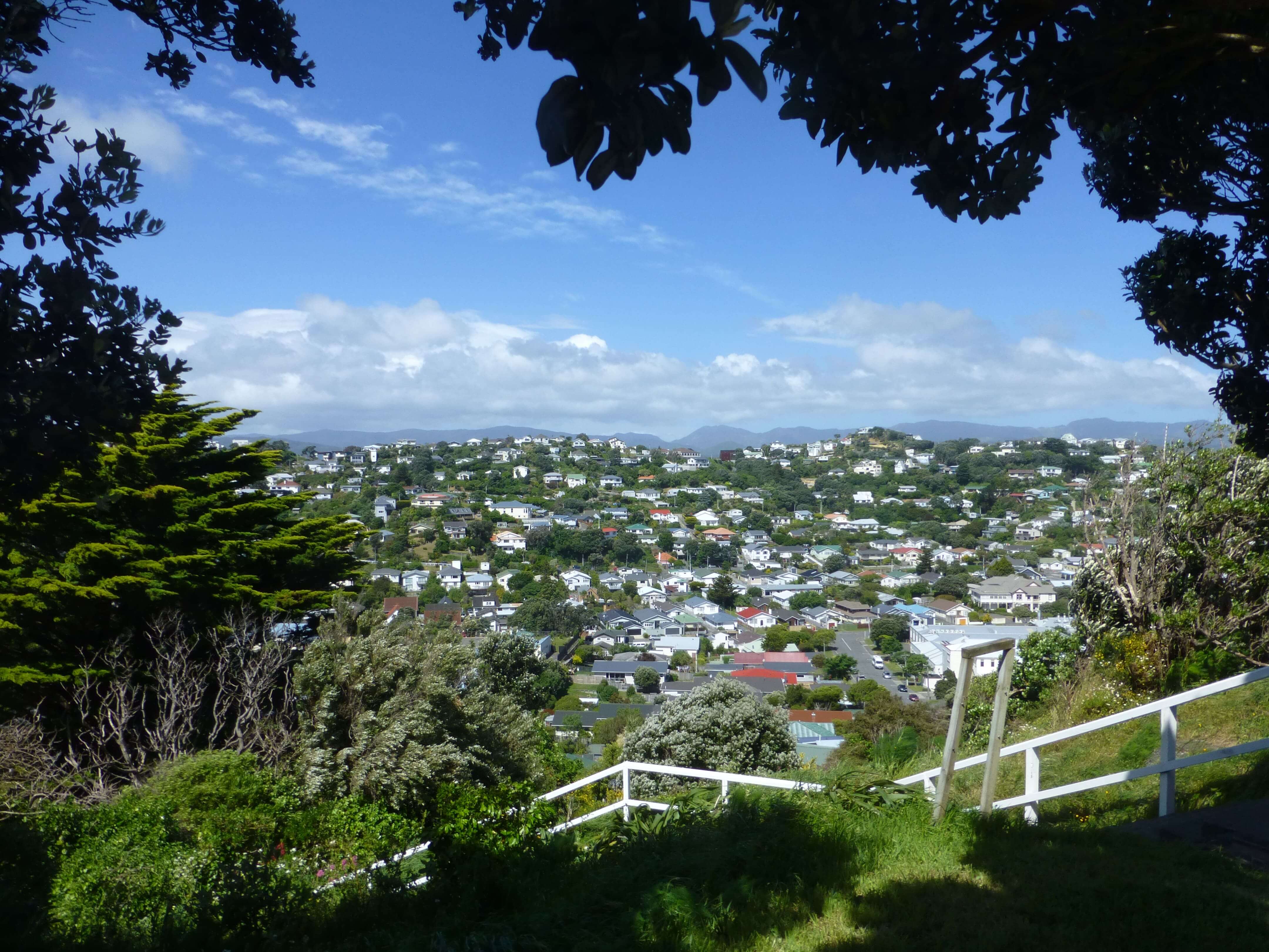 Blick über Wellington, Weit-weg.reisen, 3